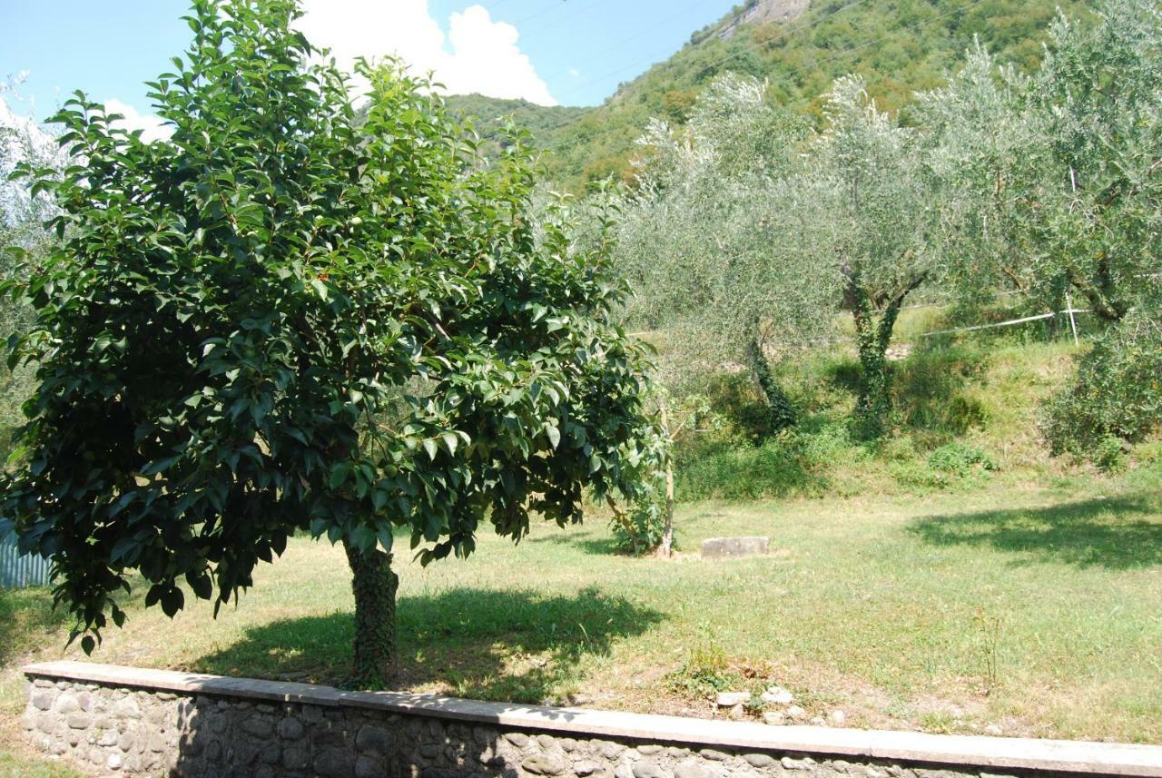 Agriturismo Cascina Bissiniga Salò Exteriér fotografie